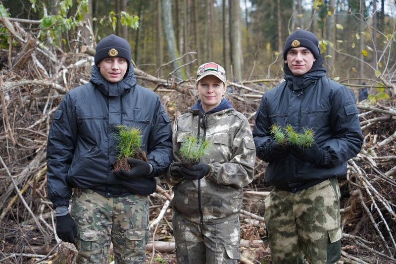 ДАЙ ЛЕСУ НОВАЕ ЖЫЦЦЁ! ДАЙ ЛЕСУ НОВАЕ ЖЫЦЦЁ!